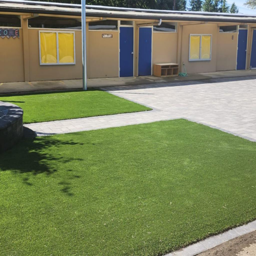 Lawn 6